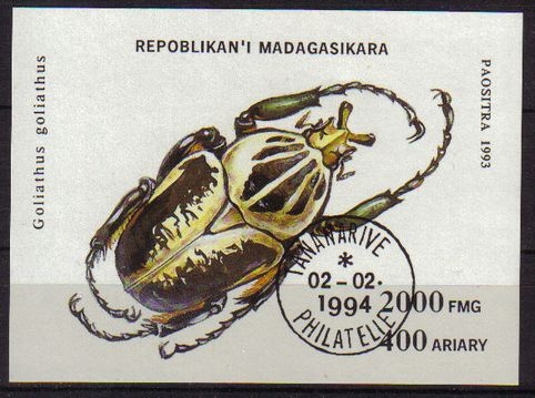MADAGASCAR 1993 Scott 1223 Sello Nuevo HB Escarabajo Beetles Goliathus Goliathus Matasellos de Favor Preobliterado Malagasy B254 